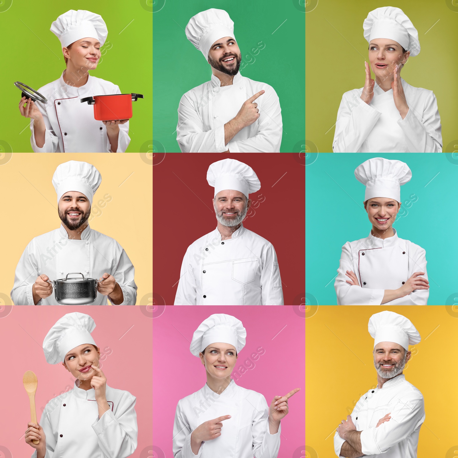 Image of Collage with photos of professional chefs on different color backgrounds