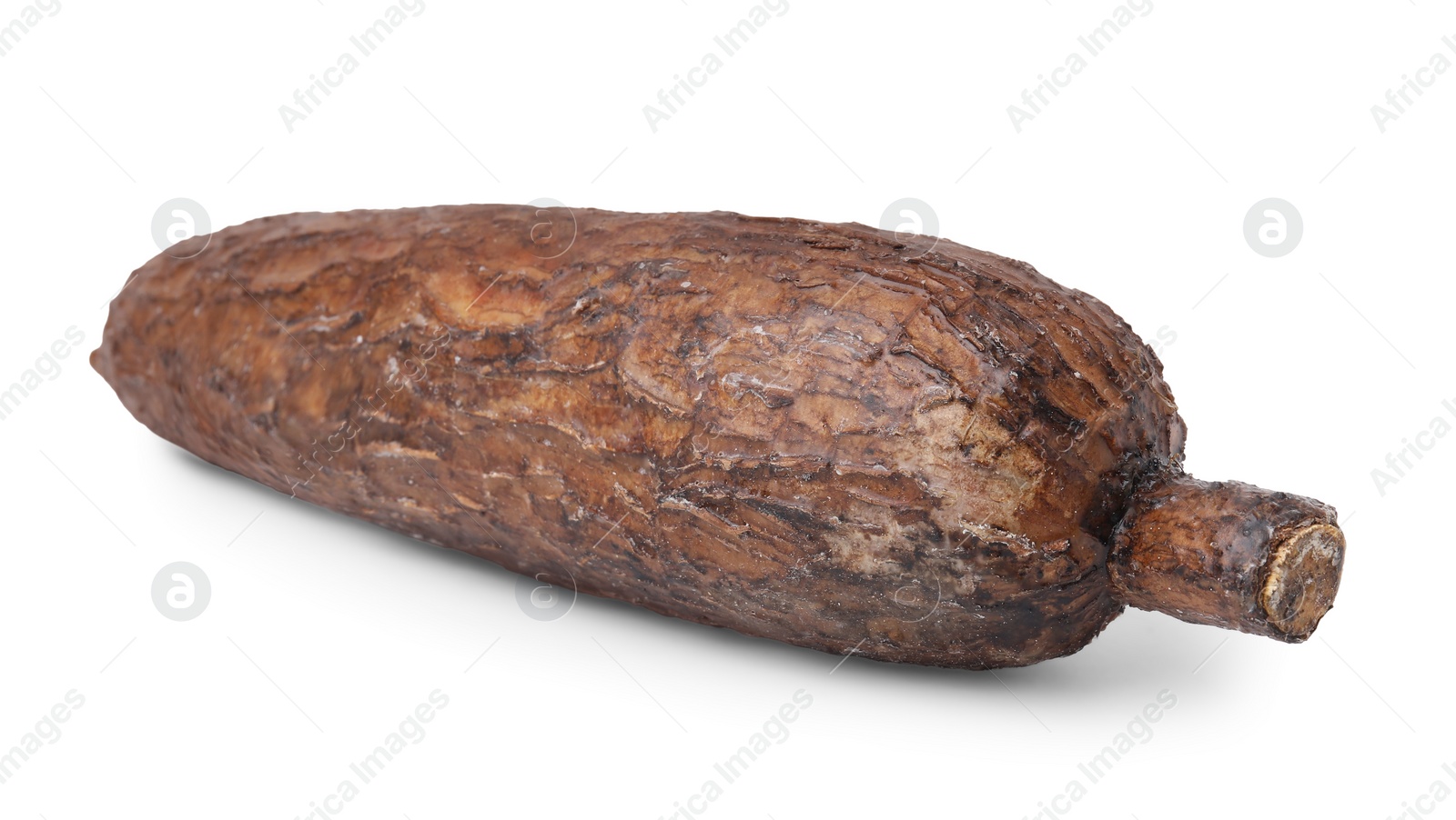 Photo of One whole ripe cassava root isolated on white