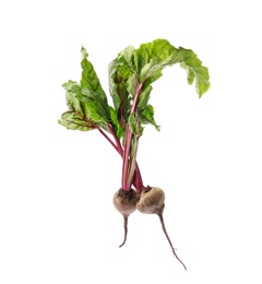 Fresh beets with leaves on white background