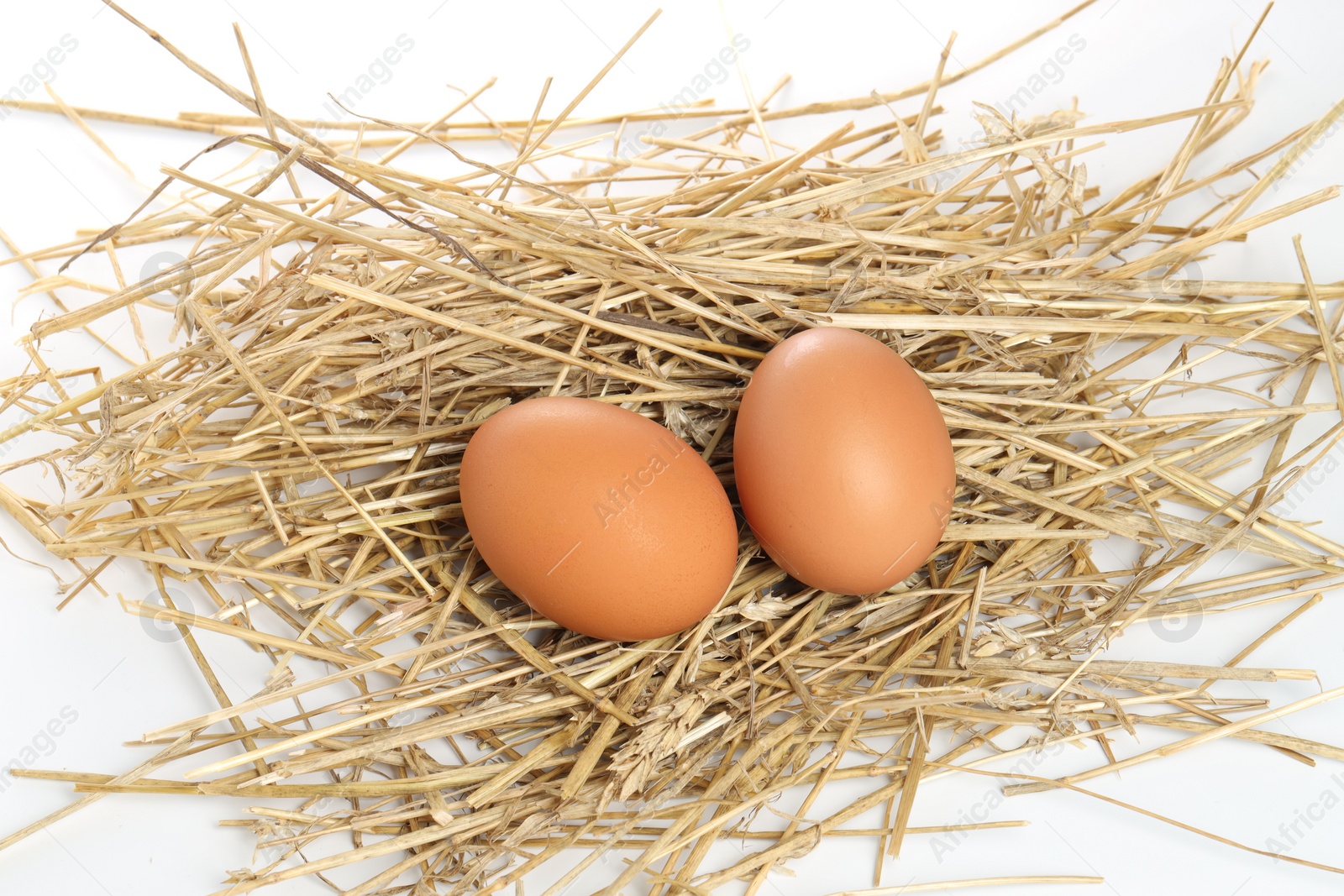 Photo of Chicken eggs and nest isolated on white, top view