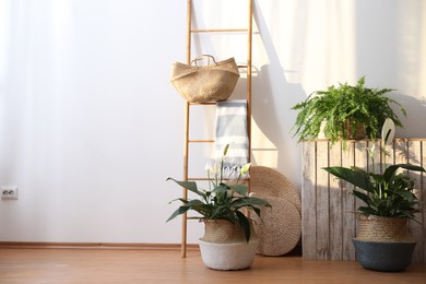 Photo of Beautiful plants in wicker pots near white wall indoors. Interior design idea