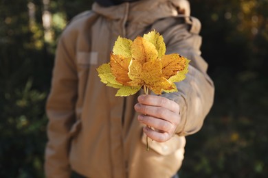 Photo of Woman holding beautiful leaves outdoors on autumn day, closeup