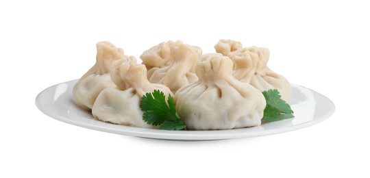 Plate with many tasty khinkali (dumplings) and parsley isolated on white. Georgian cuisine