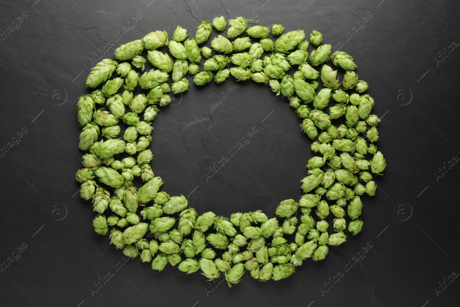 Photo of Frame of fresh green hops on black table, flat lay. Space for text