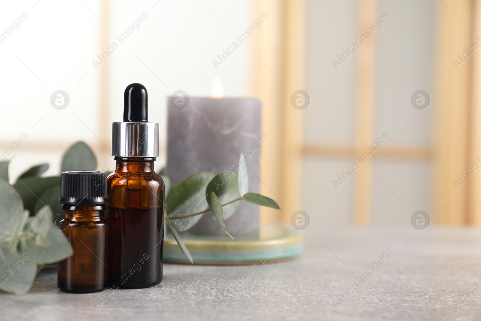 Photo of Aromatherapy. Bottles of essential oil and eucalyptus leaves on grey table, space for text