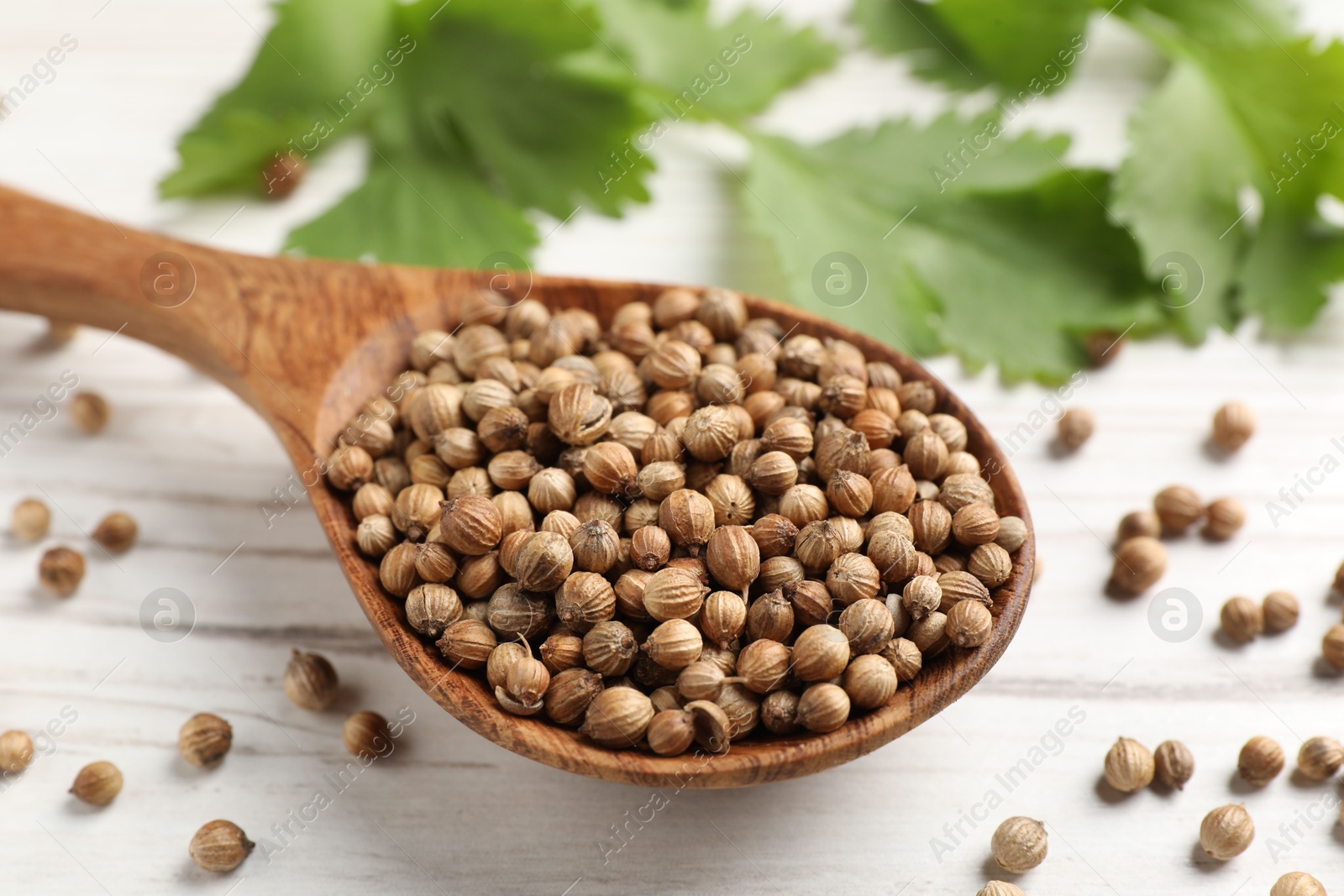 Photo of Spoon with dried coriander seeds and green leaves on wooden table, closeup