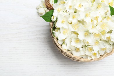 Beautiful jasmine flowers in wicker basket on white wooden table, top view. Space for text