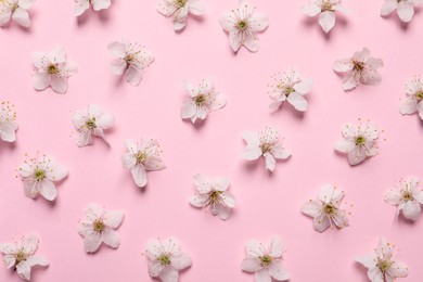 Photo of Beautiful cherry blossoms on pink background, flat lay