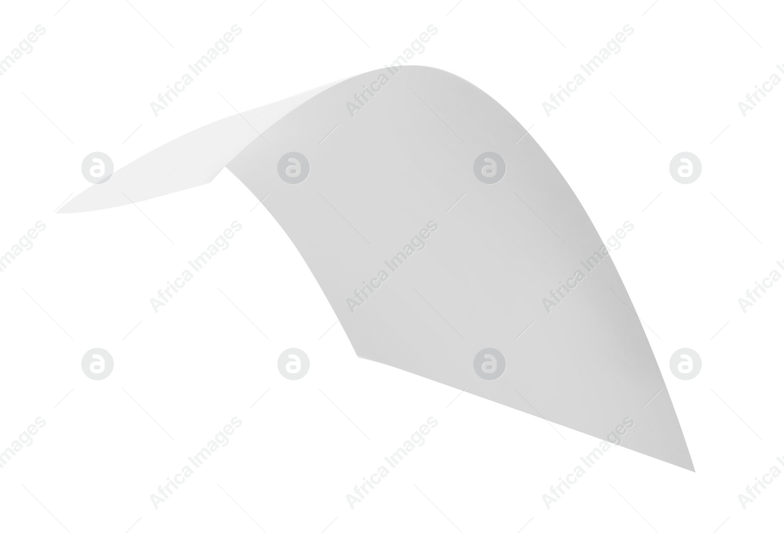 Photo of One sheet of paper isolated on white