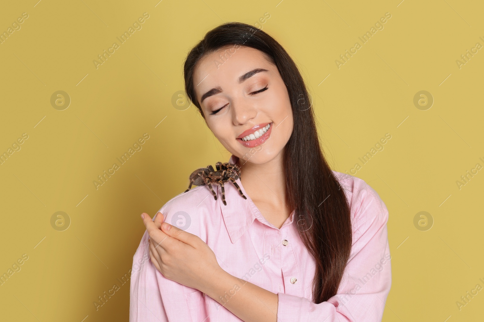 Photo of Woman holding striped knee tarantula on yellow background. Exotic pet