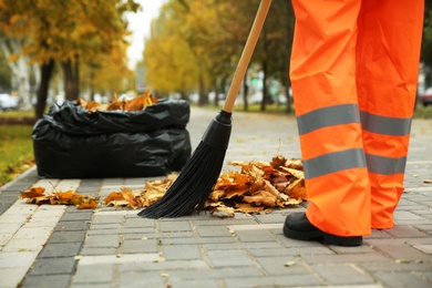 Street cleaner sweeping fallen leaves outdoors on autumn day, closeup