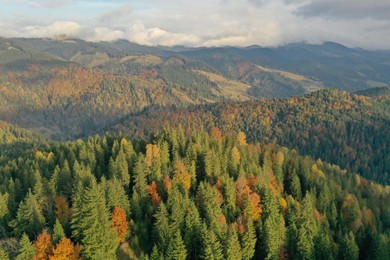 Photo of Aerial view of beautiful mountain landscape with forest on sunny day