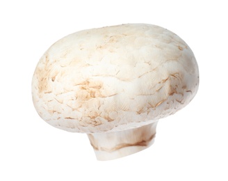 Fresh champignon mushroom isolated on white. Healthy food