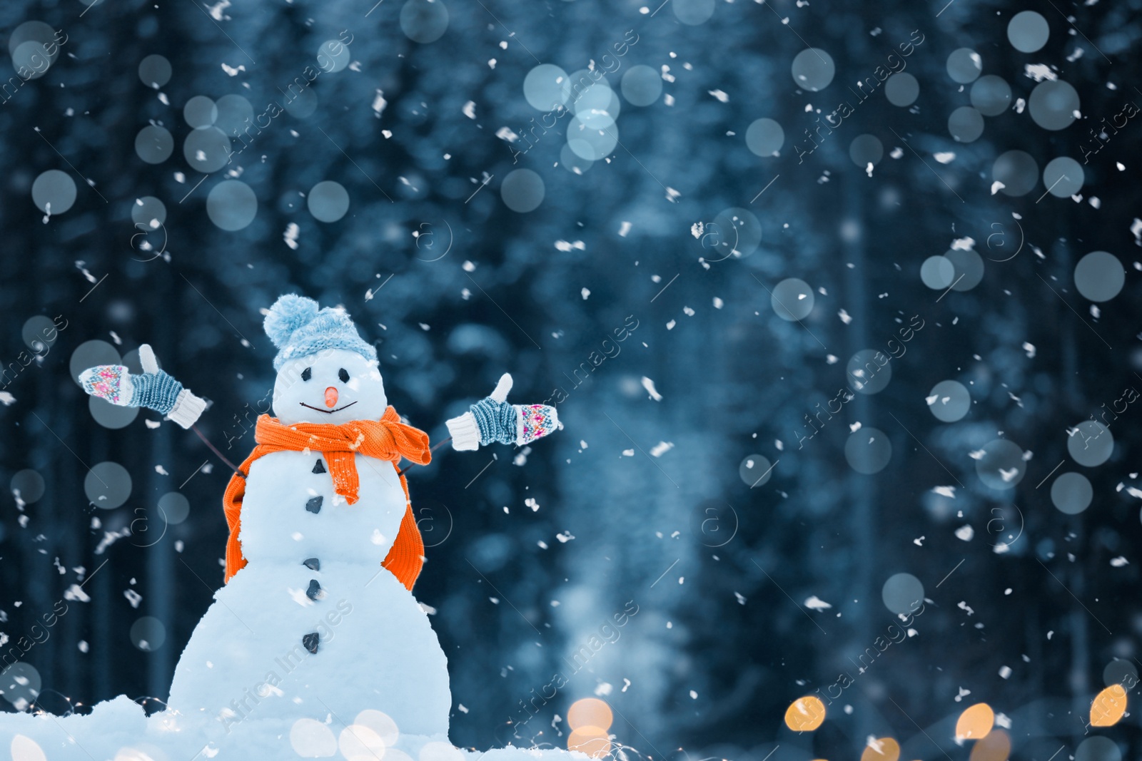 Image of Snowflakes falling on snowman in forest, bokeh effect