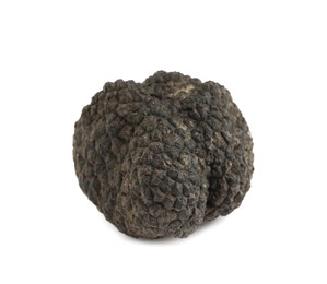 Photo of One whole black truffle isolated on white