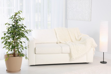 Photo of Stylish living room interior with sofa and houseplant near white wall