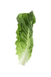 Photo of Fresh leaf of green romaine lettuce isolated on white