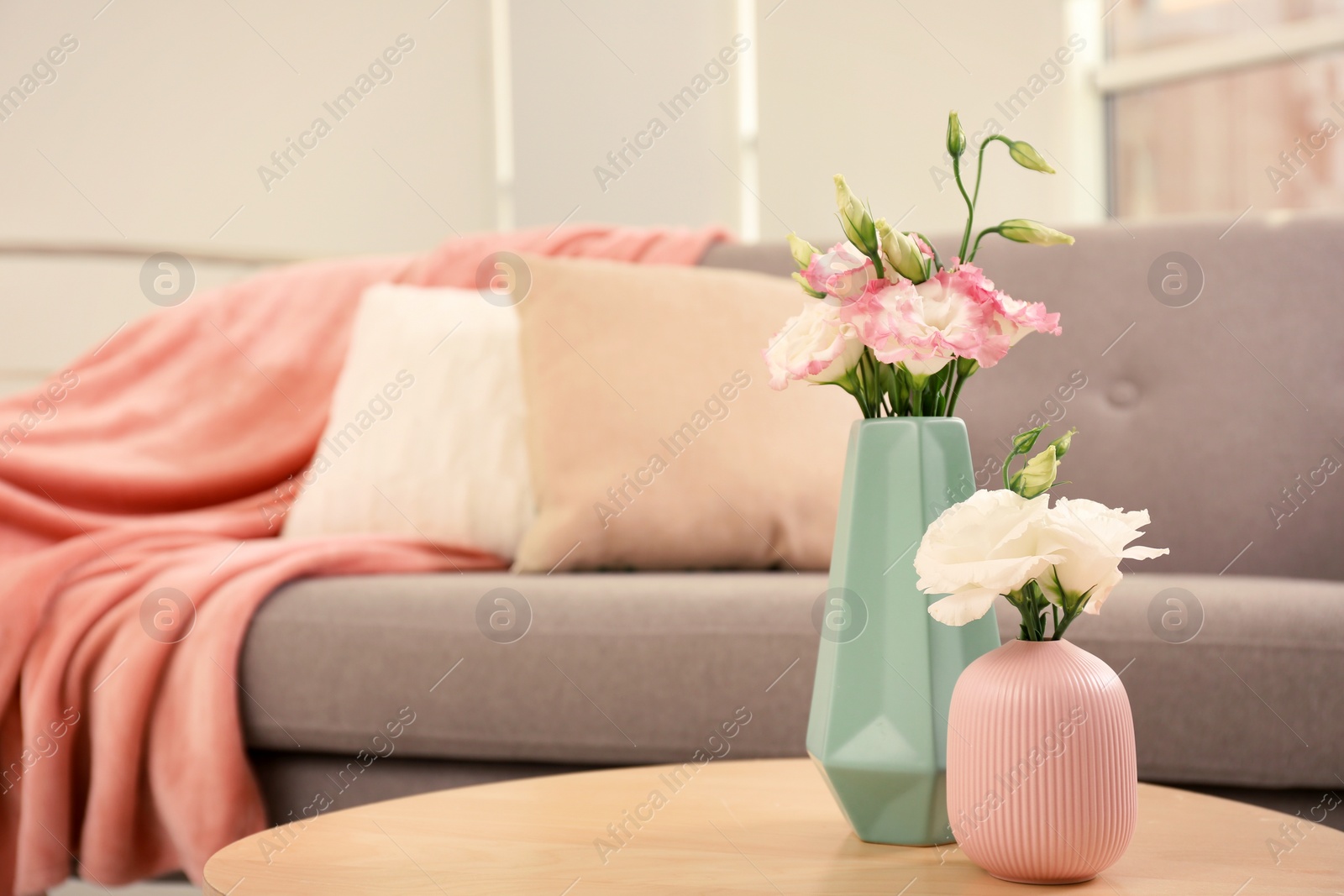 Photo of Beautiful flowers in vases and space for text on blurred background. Element of interior design