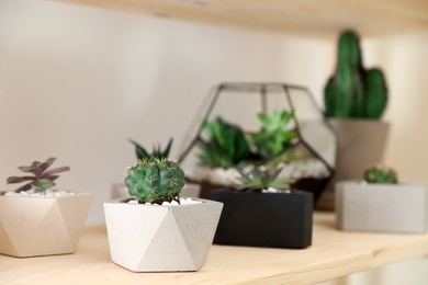 Different home plants on wooden shelf, space for text. Interior design element