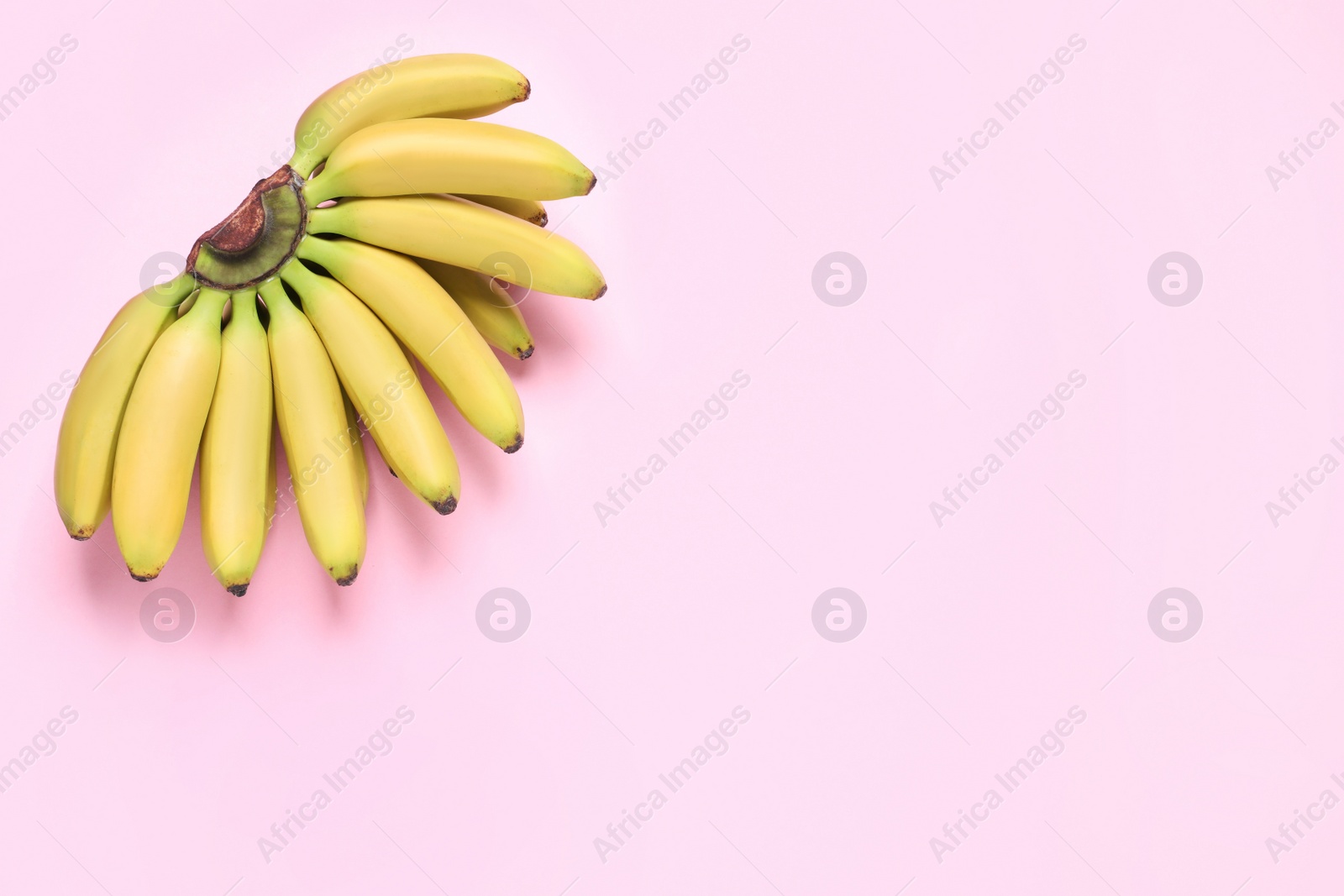 Photo of Bunch of ripe baby bananas on pink background, top view. Space for text