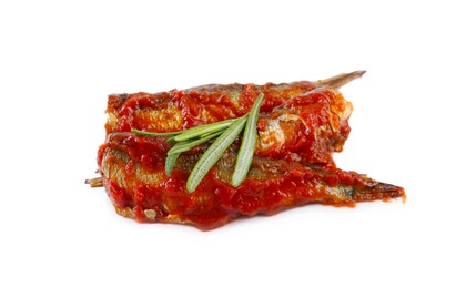 Tasty canned sprats with tomato sauce and rosemary isolated on white