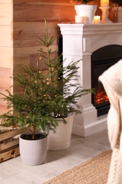 Photo of Beautiful room interior with potted firs and fireplace