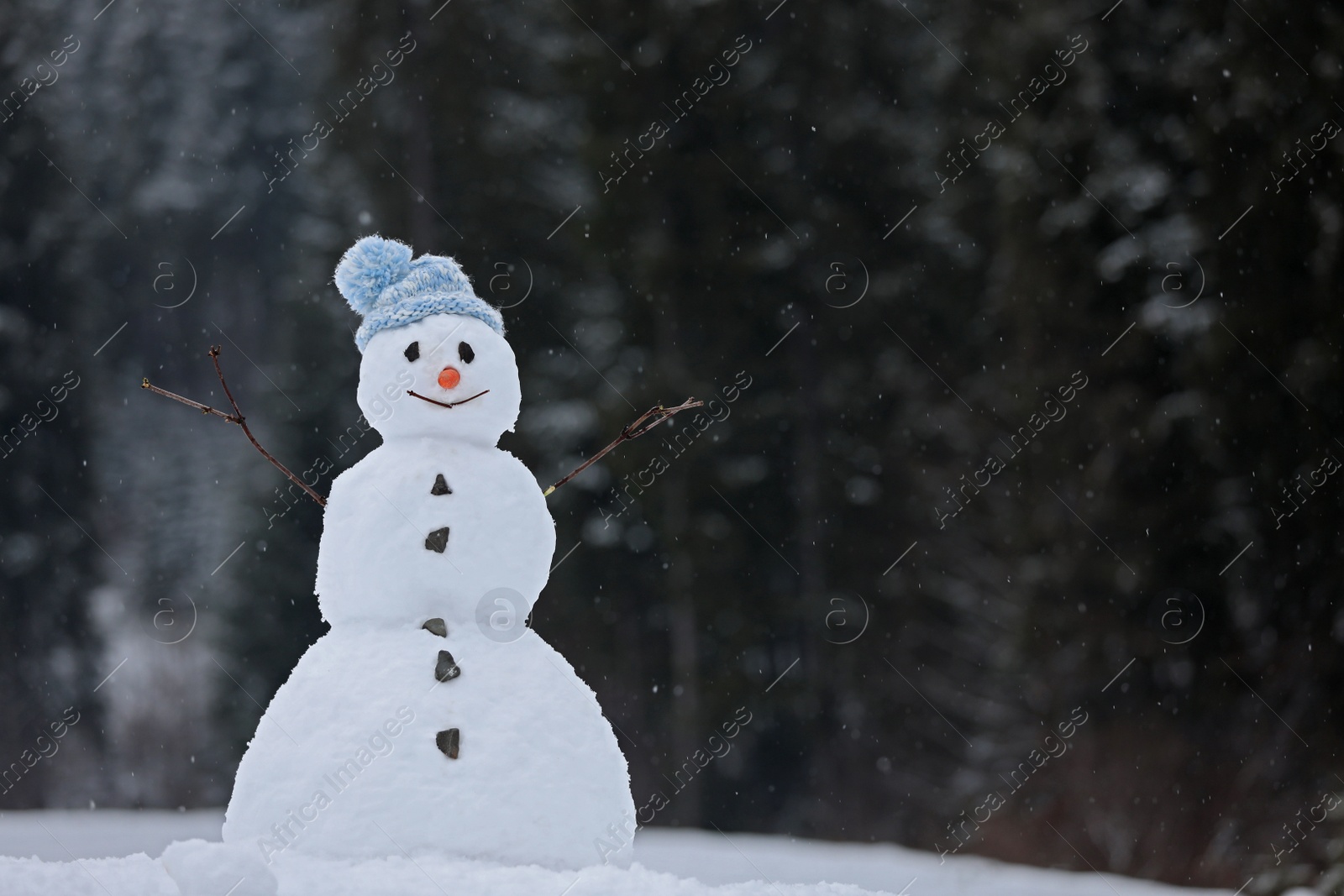 Photo of Adorable smiling snowman outdoors on winter day. Space for text