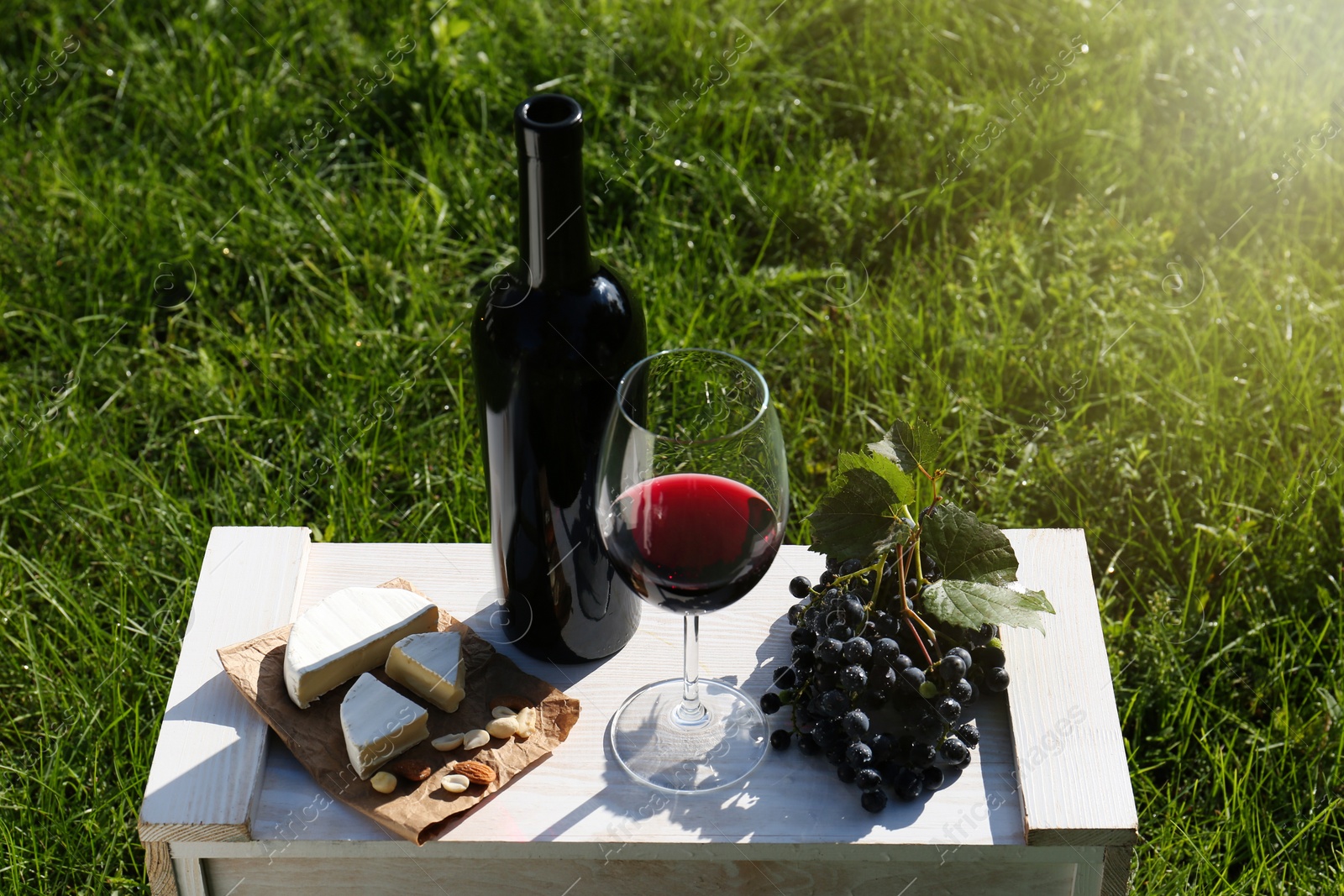 Photo of Red wine and snacks for picnic served on green grass outdoors