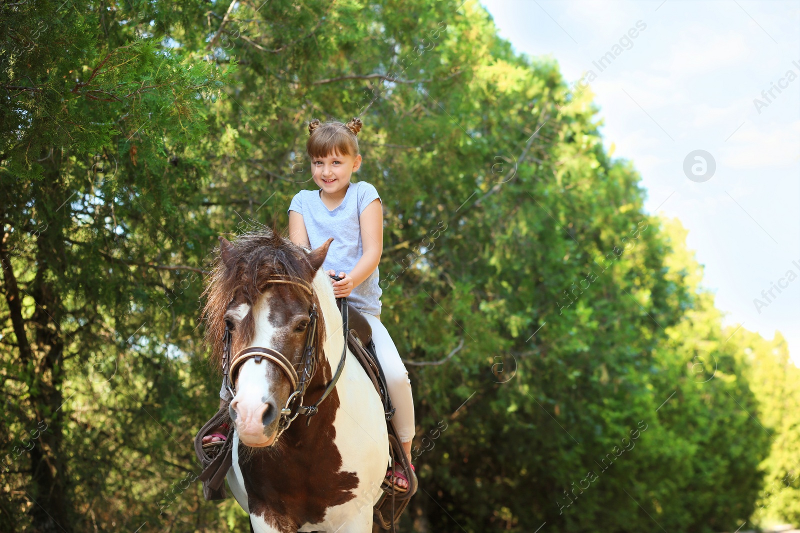 Photo of Cute little girl riding pony in green park