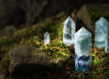 Photo of Different crystals on moss in forest, space for text