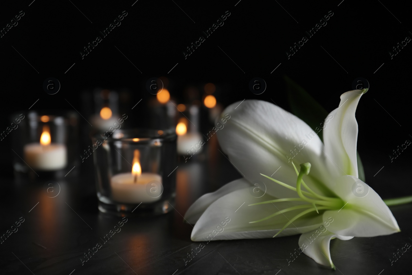 Photo of White lily and blurred burning candles on table in darkness, closeup with space for text. Funeral symbol