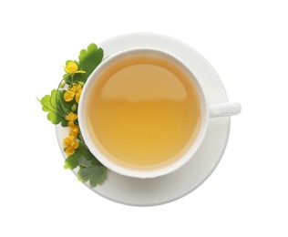 Photo of Cup of aromatic celandine tea and flowers on white background, top view
