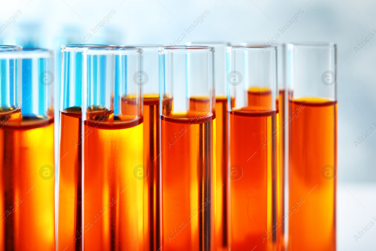 Photo of Many test tubes with orange liquid, closeup