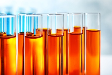 Photo of Many test tubes with orange liquid, closeup