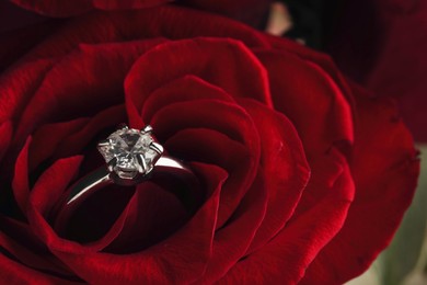 Photo of Beautiful engagement ring with gemstone on rose, closeup