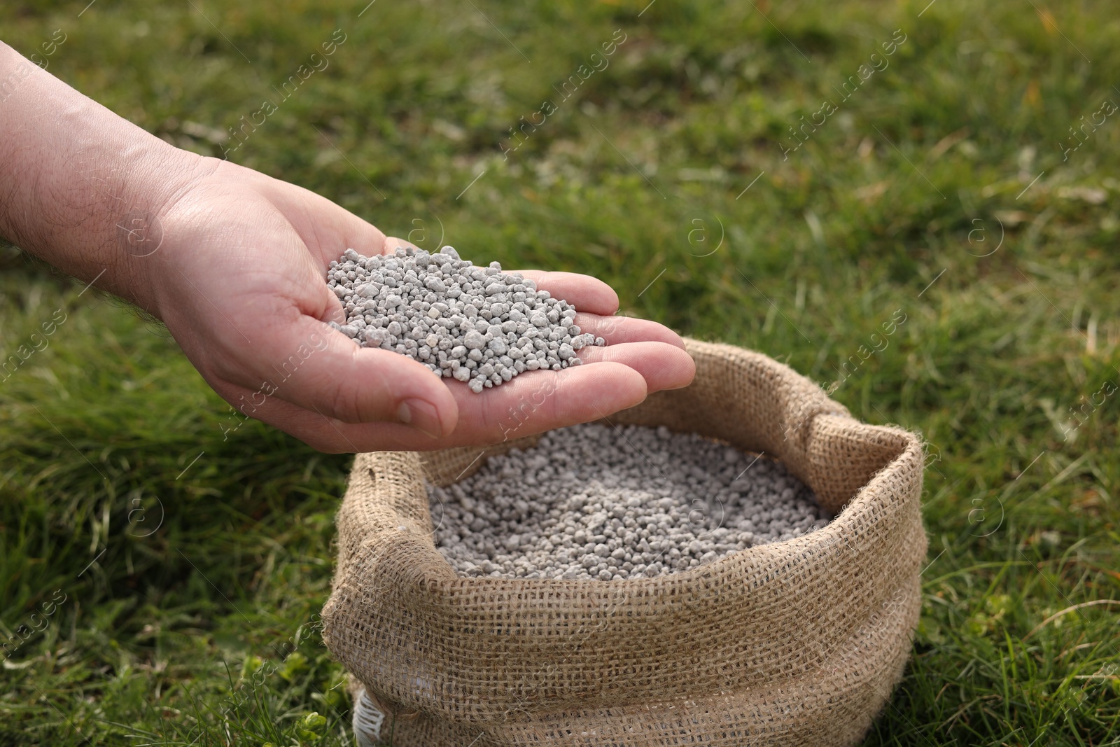 Photo of Man with fertilizer on green grass outdoors, closeup