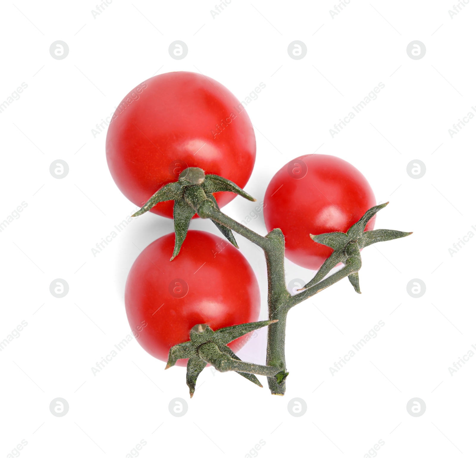 Photo of Branch of red ripe cherry tomatoes isolated on white, top view