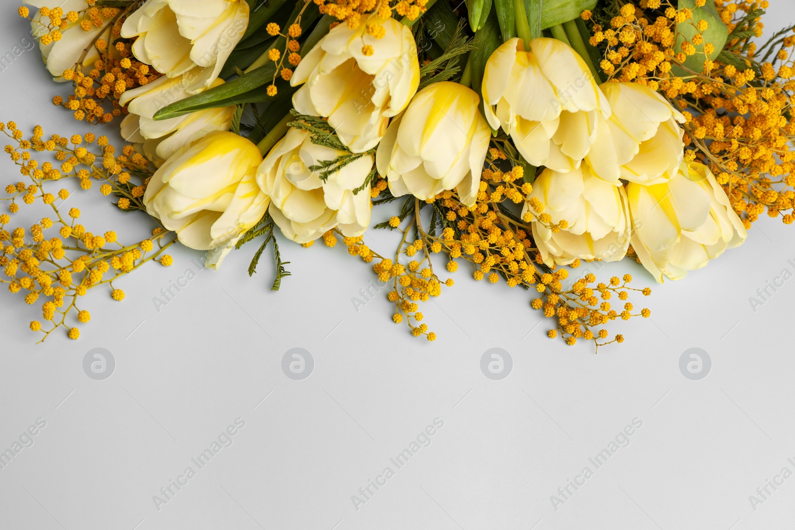 Photo of Bouquet with beautiful tulips and mimosa flowers on light grey background, space for text