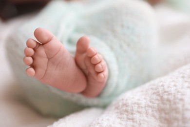 Photo of Newborn baby lying on plaid, closeup of legs. Space for text