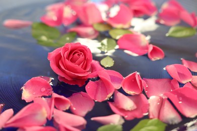 Pink rose and petals in water, closeup