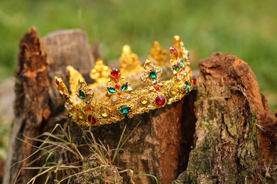 Beautiful golden crown on stump outdoors, closeup. Fantasy item