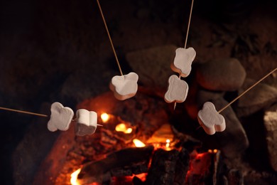 Photo of Roasting marshmallows on campfire outdoors at night