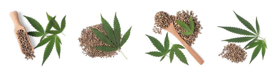 Image of Set with green hemp leaves and seeds  on white background, top view. Banner design
