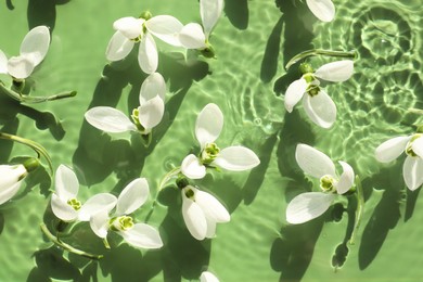 Beautiful flowers in water on green background, top view