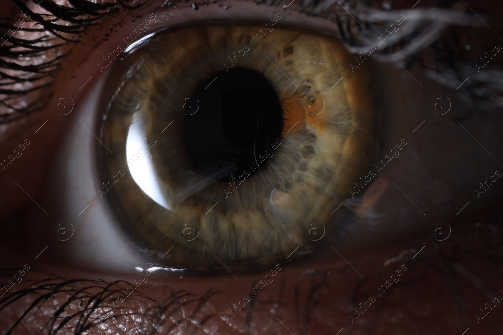 Photo of Macro photo of woman with beautiful eyes