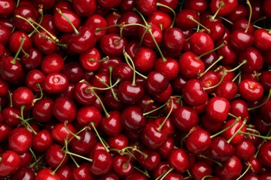 Photo of Ripe sweet cherries as background, top view