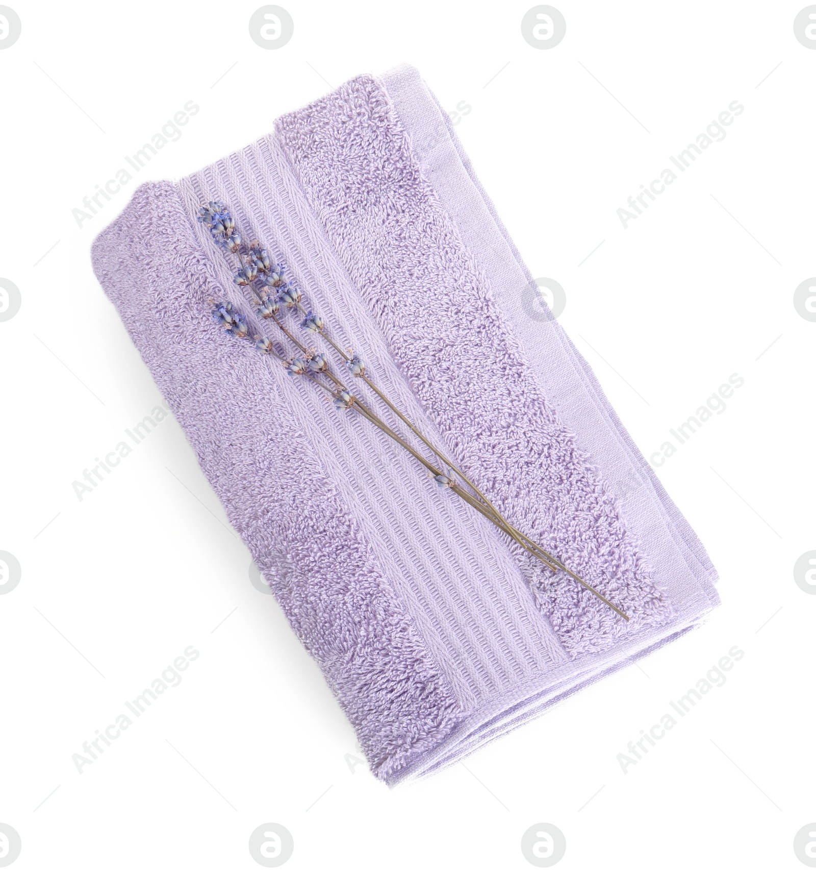 Photo of Folded violet terry towel and dry lavender isolated on white, top view