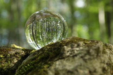 Beautiful green trees outdoors, overturned reflection. Crystal ball on stone with moss in forest