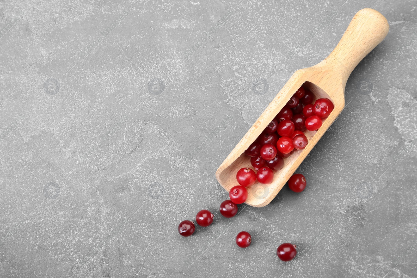 Photo of Scoop with fresh ripe cranberries on grey table, top view. Space for text