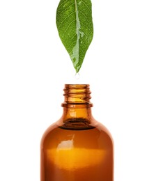 Photo of Dripping essential oil from leaf into glass bottle on white background